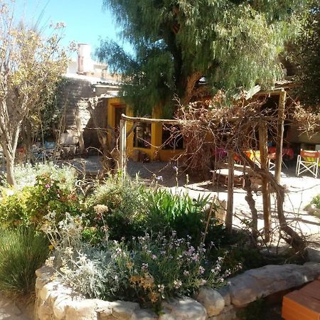 Andino Hostel تيلكارا المظهر الخارجي الصورة