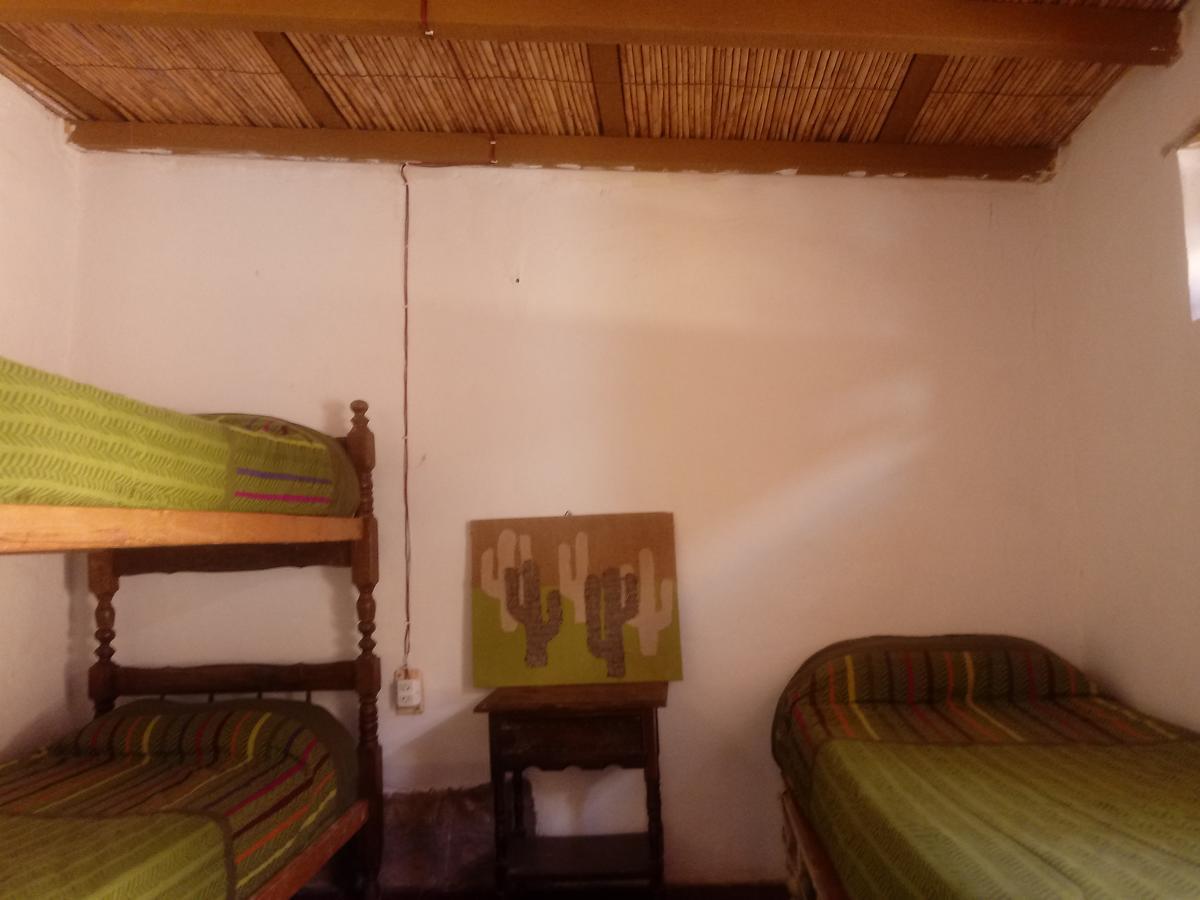 Andino Hostel تيلكارا المظهر الخارجي الصورة